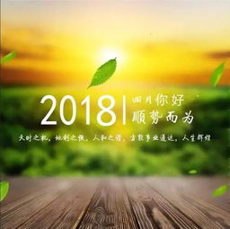 句子,能量,努力,經(jīng)典