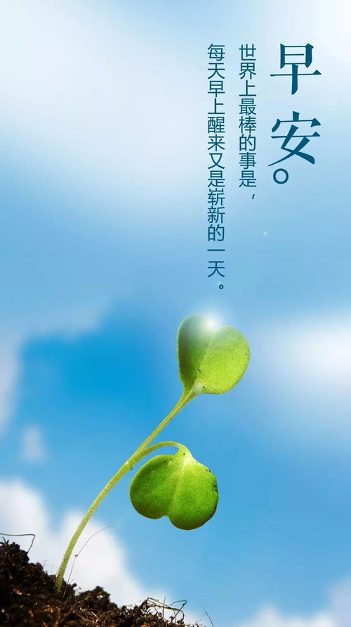 早上好的正能量幽默句子