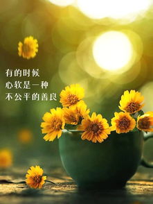 吃東西,句子,能量