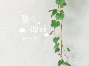 告別負(fù)能量迎接正能量的句子