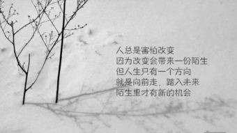 句子,能量,貢獻