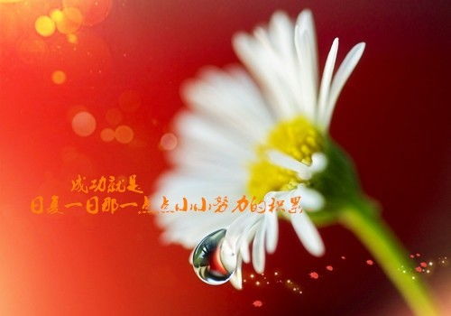 團隊精神,句子,能量