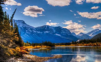 關(guān)于堅(jiān)持的正能量句子,懂得感恩的正能量句子,新的開始新的起點(diǎn)正能量句子