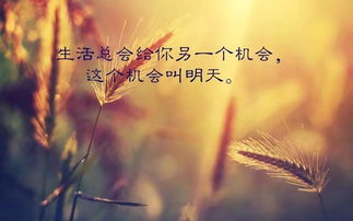 早安正能量句子勵(lì)志-每日一句,每日一句正能量早安句子,每日一句正能量八個(gè)字句子