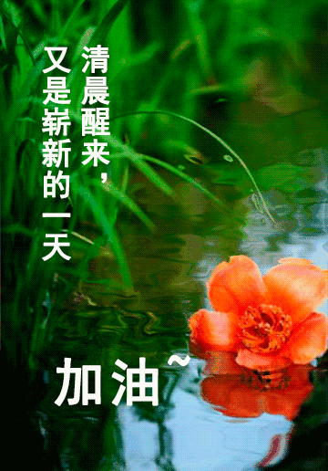 最新-2021早安心語(yǔ)正能量句子精品