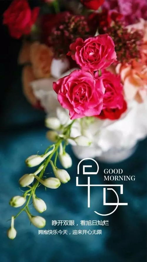早晨朋友圈正能量句子簡短