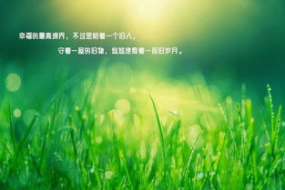 積極健康的正能量勵(lì)志句子,積極陽光正能量的勵(lì)志句子,積極工作正能量的句子勵(lì)志