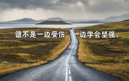 養(yǎng)護(hù),句子,能量,道路