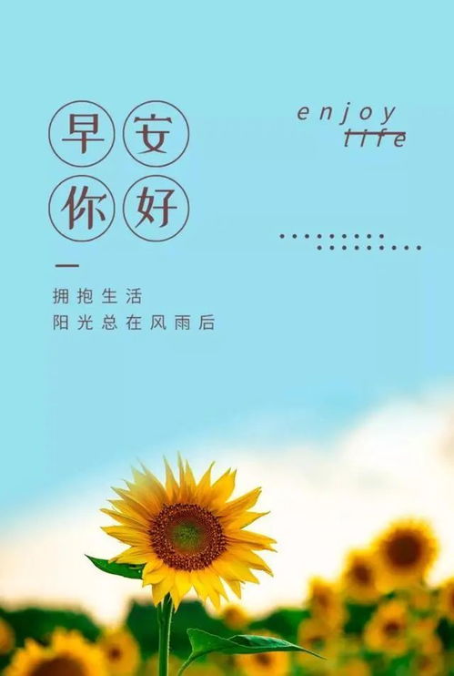 美好一天正能量的句子,美好正能量的句子,簡單美好的正能量句子