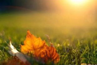 關(guān)于分手正能量的句子,分手正能量心態(tài)句子,分手后發(fā)正能量的朋友圈句子