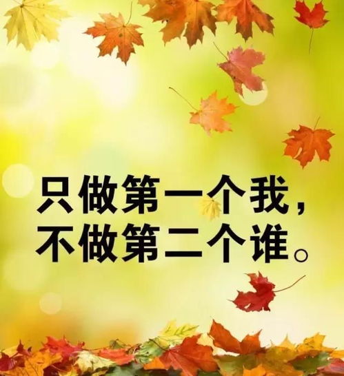 女人獨(dú)立正能量的句子經(jīng)典語(yǔ)句,女人正能量的句子經(jīng)典語(yǔ)句,女人勵(lì)志正能量的句子經(jīng)典短文