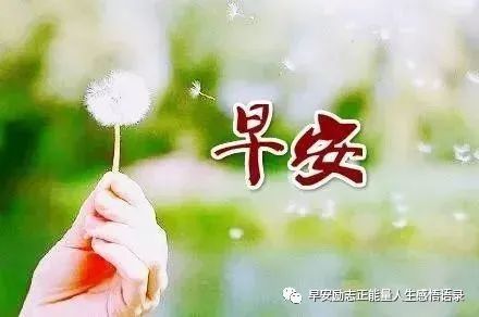 早安正能量的朋友圈說(shuō)說(shuō)的句子,早安正能量說(shuō)說(shuō)短句子,霸氣正能量的早安說(shuō)說(shuō)句子