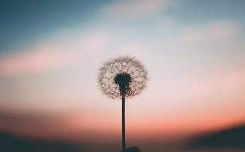 吃苦耐勞正能量的句子