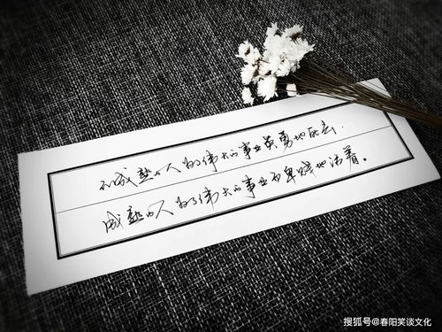 積極向上正能量的句子短句,工作積極向上正能量的句子,形容積極向上正能量的句子