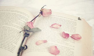 耶穌說的正能量的句子