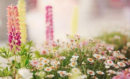 春天快過去了的時候正能量的句子