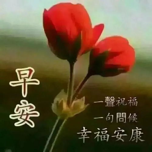句子,滿滿,能量,問(wèn)候
