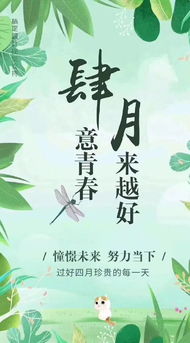 12月1號正能量句子