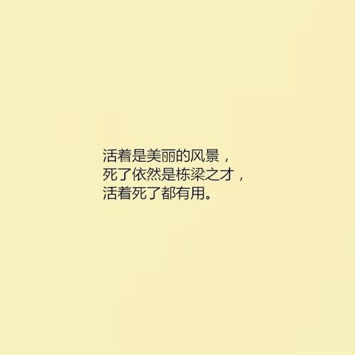 堅(jiān)持勵(lì)志正能量的句子,勵(lì)志故事正能量句子,積極向上正能量的句子勵(lì)志的故事