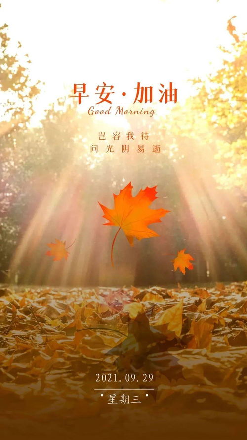 最新勵志早安正能量的句子,勵志的早安語正能量句子,早安勵志正能量滿滿的句子朋友圈