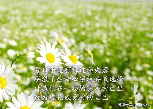 句子,能量,心靈