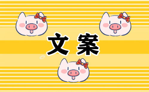 新生開學(xué)文案句子正能量