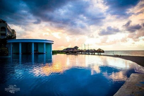 企業(yè)激勵(lì)員工正能量的句子,餐飲激勵(lì)員工正能量的句子,激勵(lì)員工正能量的句子經(jīng)典語句