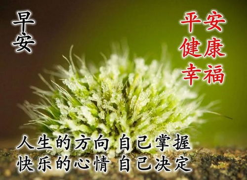 祝自己早安的句子正能量