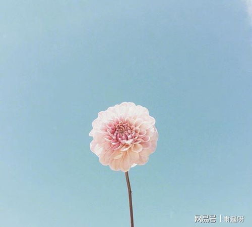 上進,句子,能量,陽光