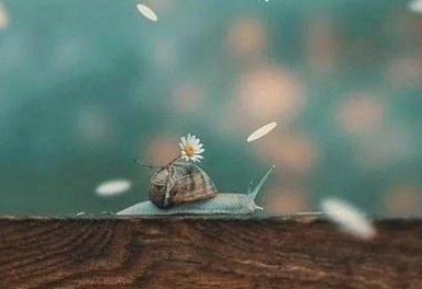 句子,感恩,能量,遇見