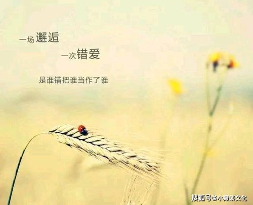 發(fā)一些正能量的句子,一段正能量的句子,每天一段正能量的句子