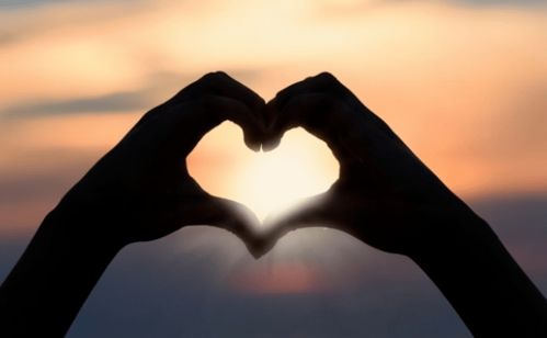 正能量句子勵志短句子,春天正能量的句子古風,互幫互助正能量的句子古風