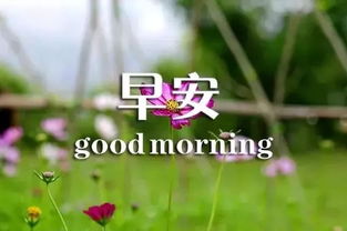 句子,勵志,能量,個性