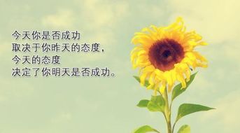 關(guān)于人積極向上正能量的句子