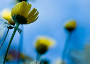 上進(jìn),句子,激勵(lì),能量