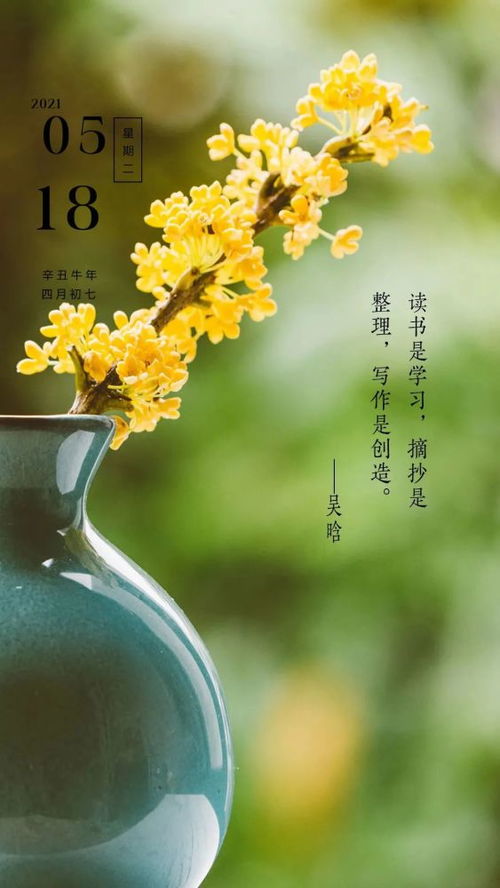 正能量的句子早安問候