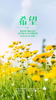 早安心語正能量的句子,工作早安心語正能量句子,周末早安心語正能量句子