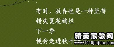 句子,唯美,能量,傳遞