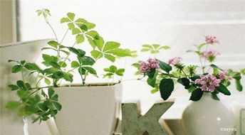 正能量感謝老師句子