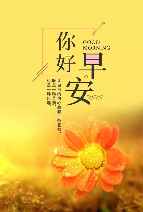 贊揚(yáng),句子,語句,能量