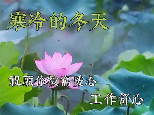 問(wèn)好,句子,能量,早上