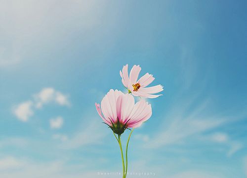 句子,勵(lì)志,能量,工作