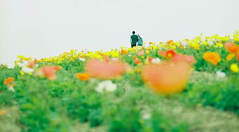 人生正能量句子說說心情短語