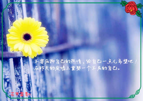 安慰狼狽正能量的句子,安慰姑娘的正能量句子,安慰正能量的句子經(jīng)典語句