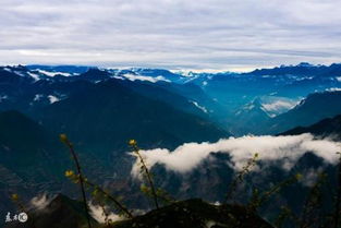 激勵(lì)團(tuán)隊(duì)努力正能量的句子