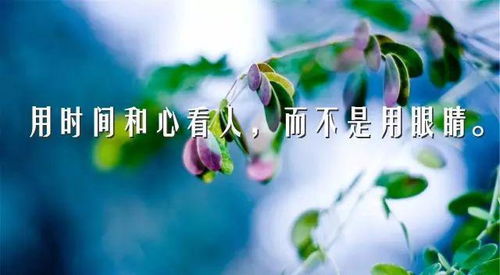 工作心態(tài)正能量句子寄語