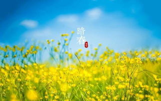 句子,清明,能量