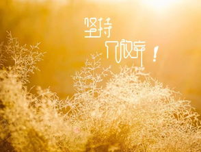 句子,能量,大全,生活