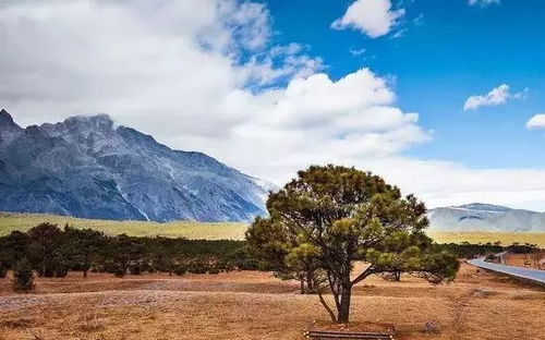 被世界拋棄的正能量的句子