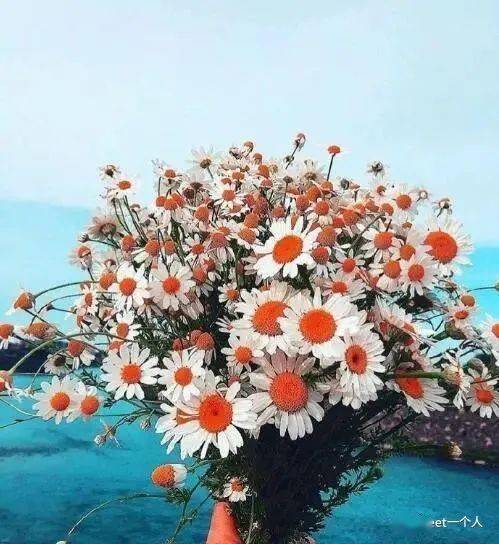 朋友圈正能量秒贊的句子